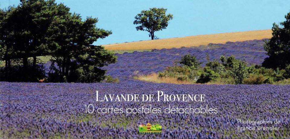 Lavande de Provence