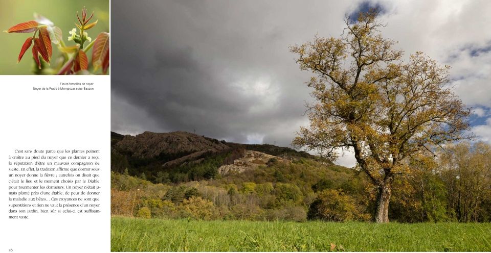 REMARQUABLES, des Arbres, des Femmes et des Hommes en Ardèche / En souscription jusqu'au 7 juin 2024