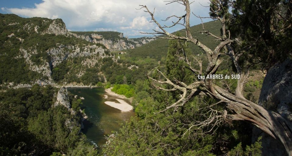 REMARQUABLES, des Arbres, des Femmes et des Hommes en Ardèche / En souscription jusqu'au 7 juin 2024