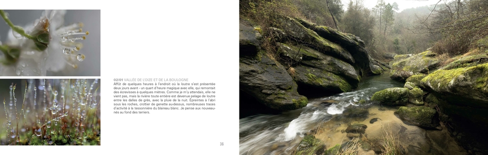 Ardèche intime - une éphéméride sauvage