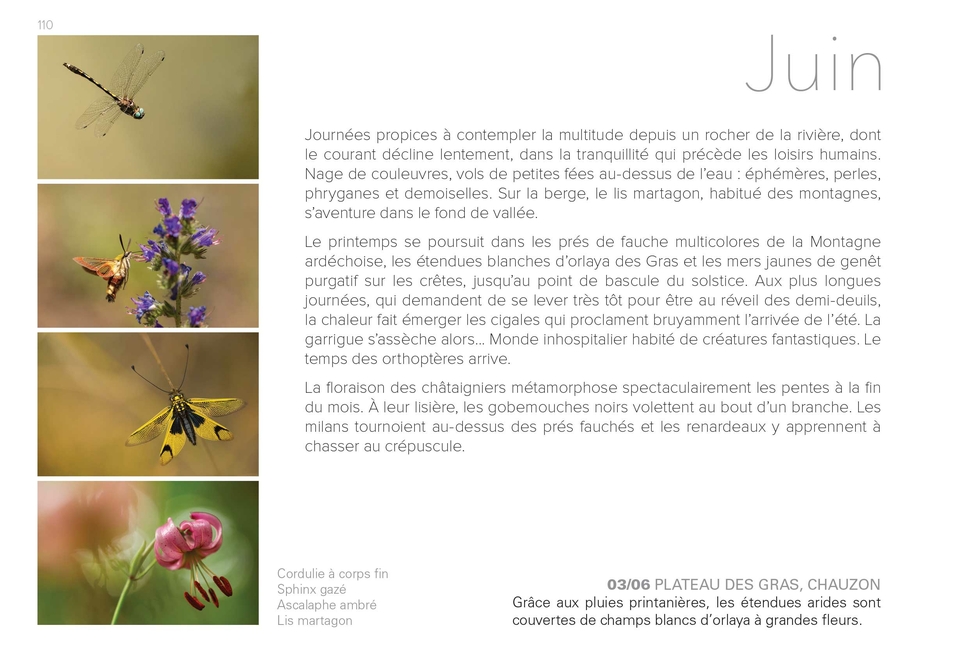 Ardèche intime - une éphéméride sauvage