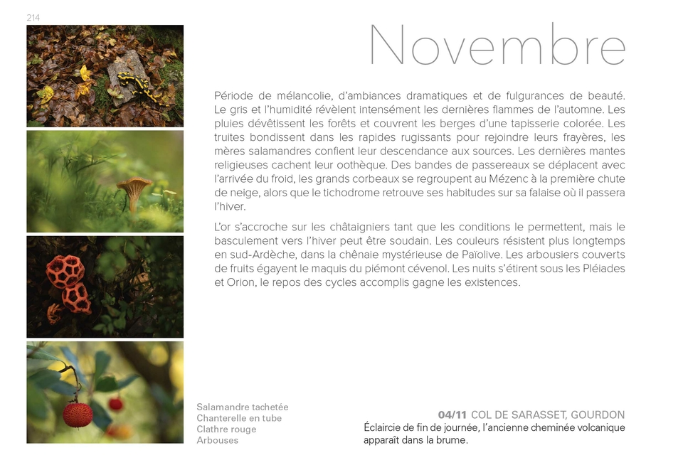 Ardèche intime - une éphéméride sauvage