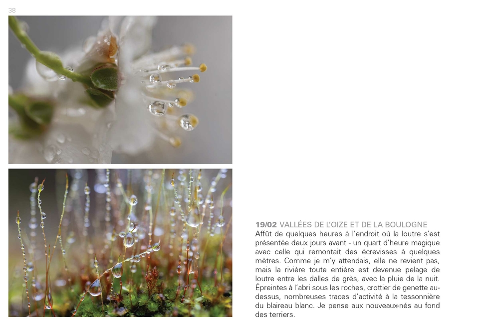 Ardèche intime - une éphéméride sauvage