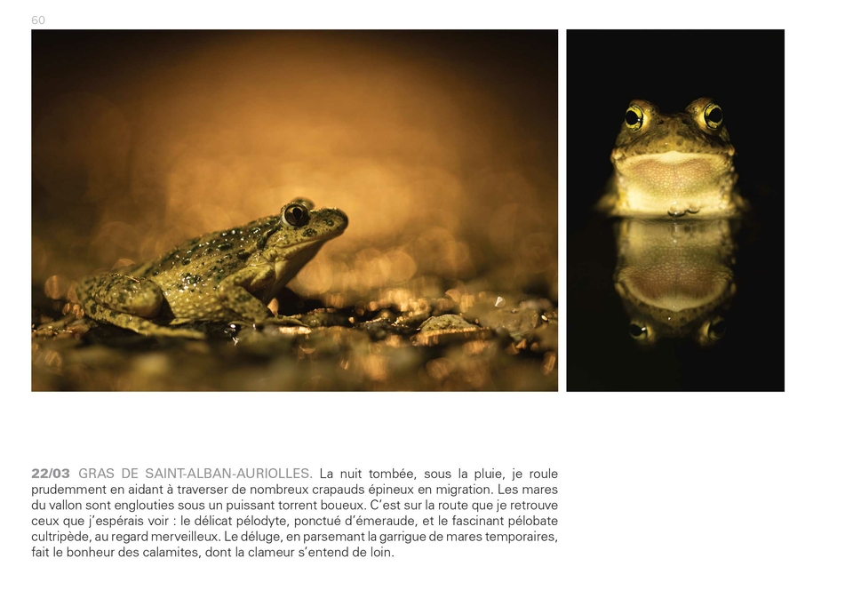 Ardèche intime - une éphéméride sauvage